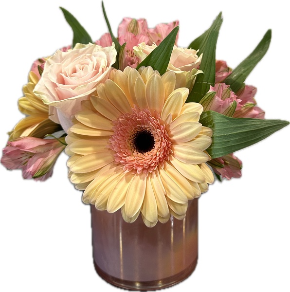 Rac's Happy Day's  from Racanello Florist in Stamford, CT