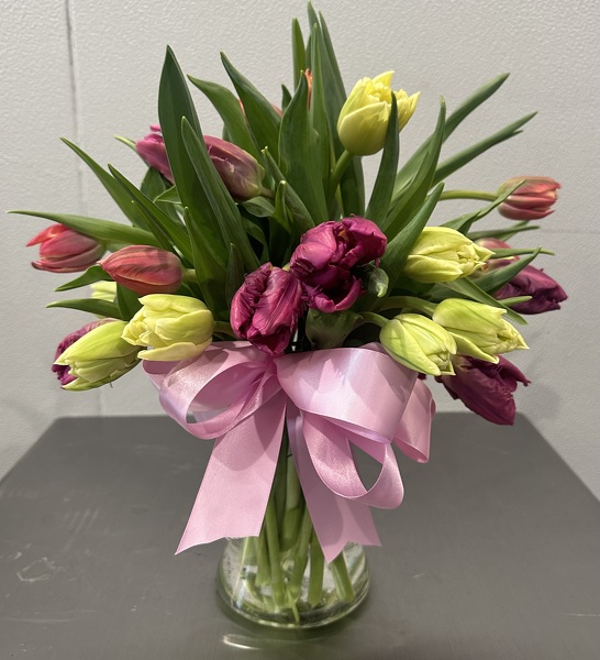 Mixed Tulips from Racanello Florist in Stamford, CT