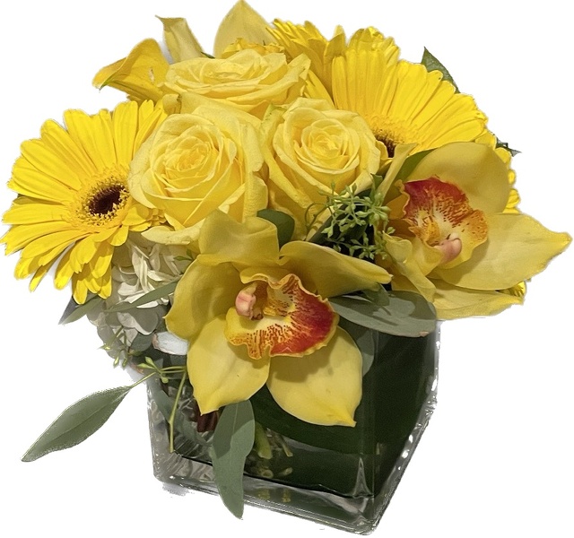Rac's Drop of Sunshine from Racanello Florist in Stamford, CT