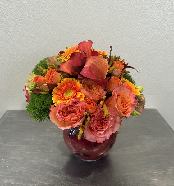 Racs Tangerine  from Racanello Florist in Stamford, CT