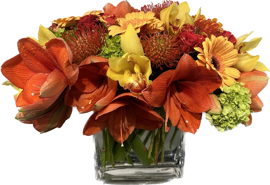 The Autumn South Ender  from Racanello Florist in Stamford, CT