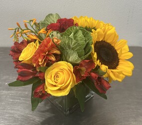 Rac's Fall Classic 