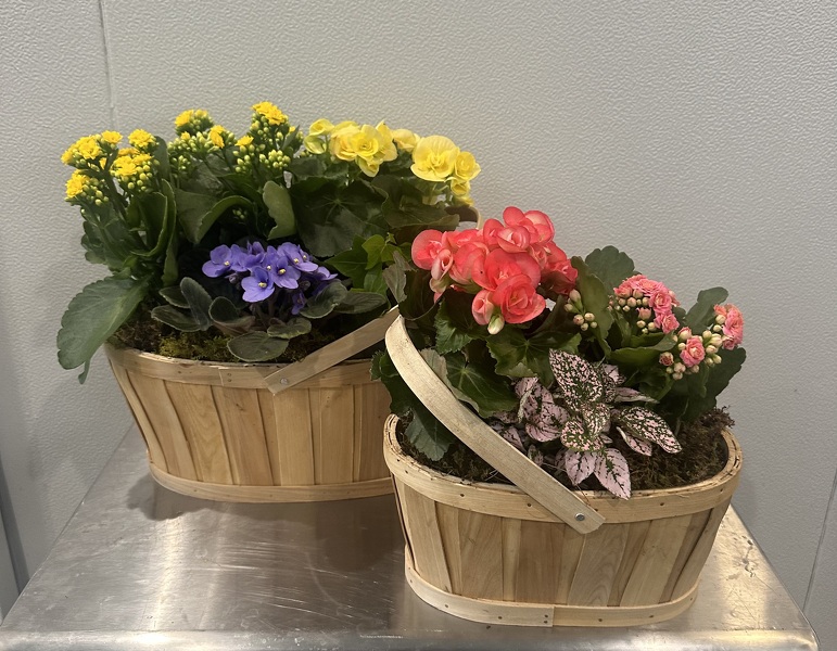 Racs Blooming Basket  from Racanello Florist in Stamford, CT