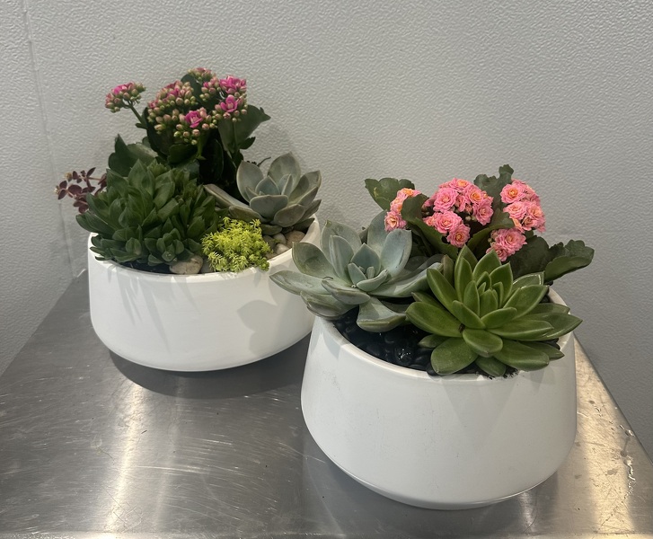 Racs Blooming Combo  from Racanello Florist in Stamford, CT