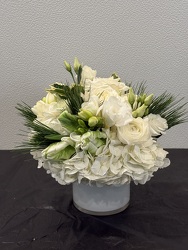 Racs White and green 