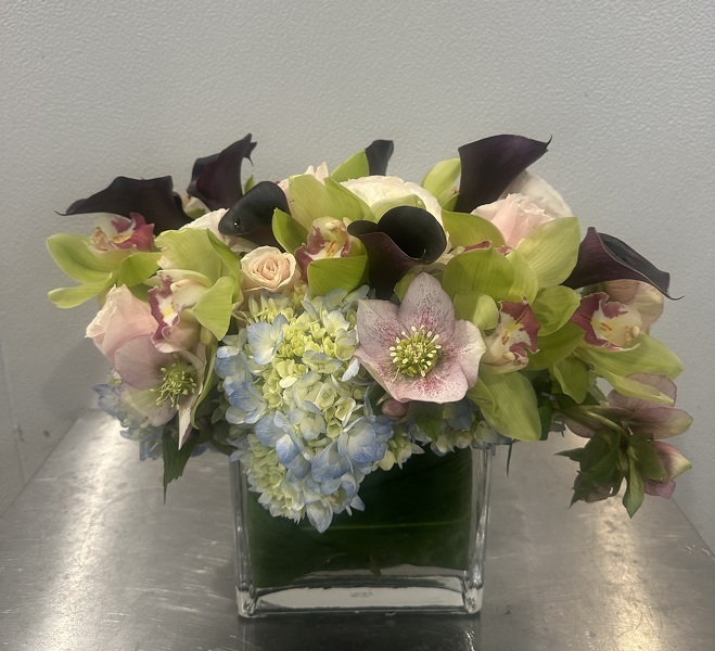 Rac's Long Winter  from Racanello Florist in Stamford, CT