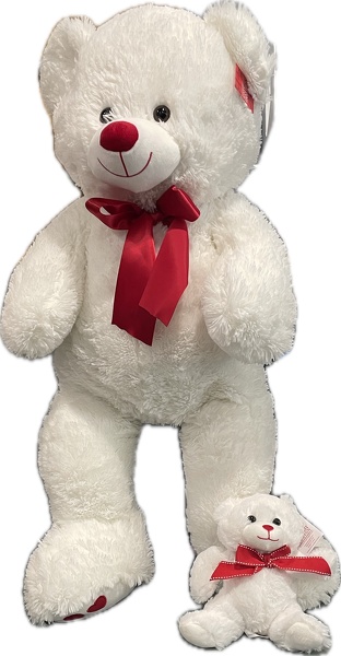 Large Valentines bear  from Racanello Florist in Stamford, CT