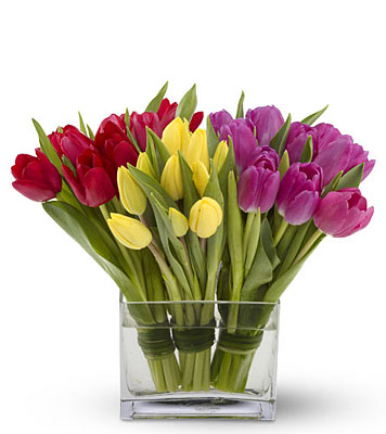 Tulips Together from Racanello Florist in Stamford, CT