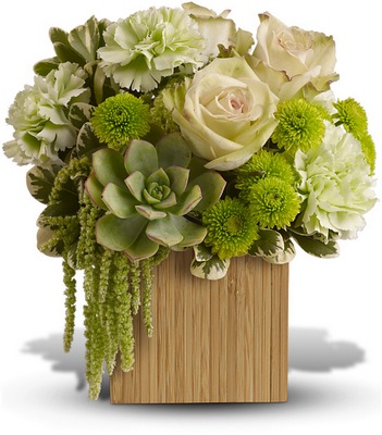 Bamboo Mist from Racanello Florist in Stamford, CT