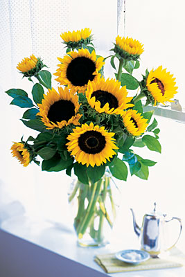 Shining Sunflowers from Racanello Florist in Stamford, CT