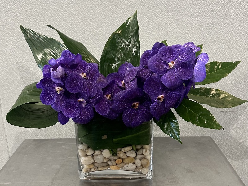 Vanda Rectangle (purple) from Racanello Florist in Stamford, CT